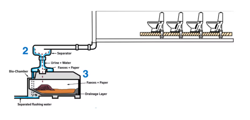 Aquatron separator and bio-chamber arrangement below a stack of toilets